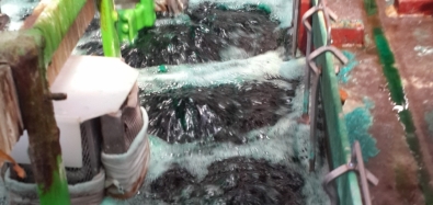 Bồn bể hóa chất  chuyên xima
